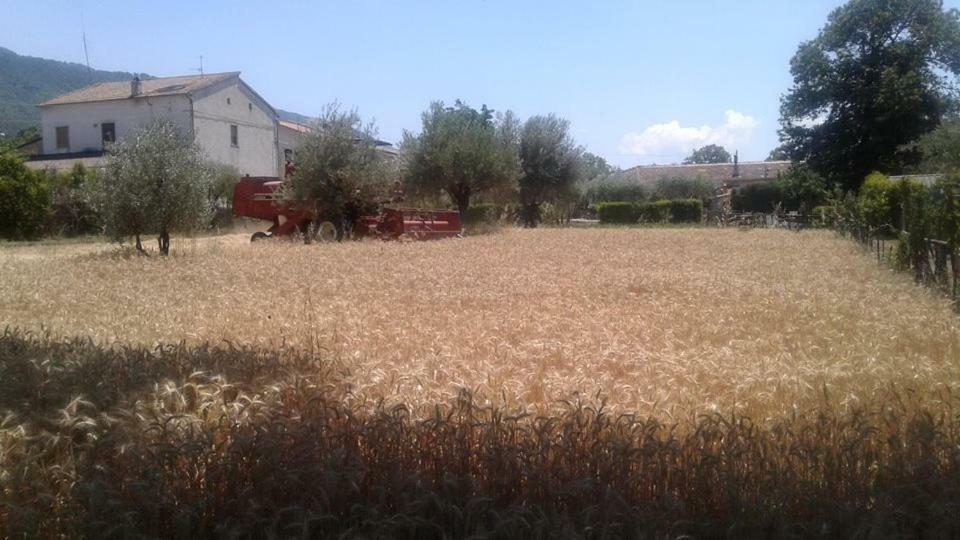 Willa Agriturismo Tre Santi Padula Zewnętrze zdjęcie