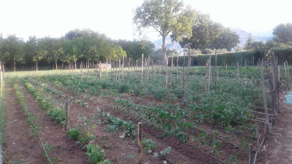 Willa Agriturismo Tre Santi Padula Zewnętrze zdjęcie